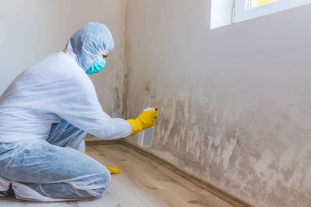 Best Mold Testing  in Ballinger, TX