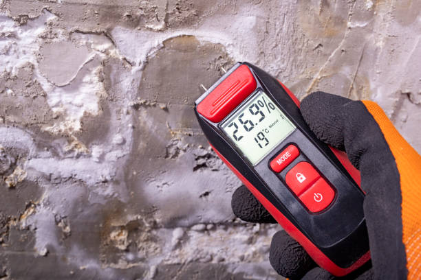 Best Local Mold Removal Service  in Ballinger, TX