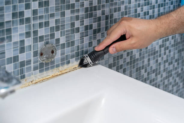 Professional Mold Removal in Ballinger, TX