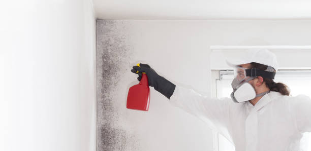 Best Crawl Space Mold Removal  in Ballinger, TX